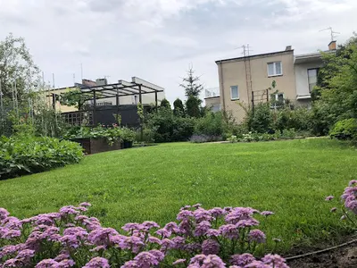 Usługi ogrodnicze SellGarden Jakub Sellin